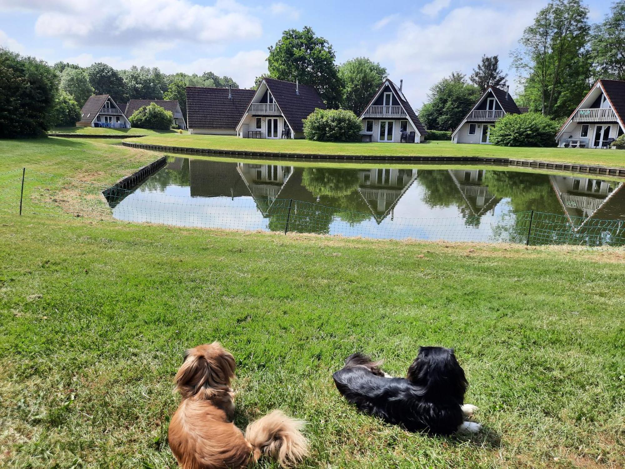 De Gouwe, 158 - Aan Visvijver, De Beste Visstek Gramsbergen ภายนอก รูปภาพ